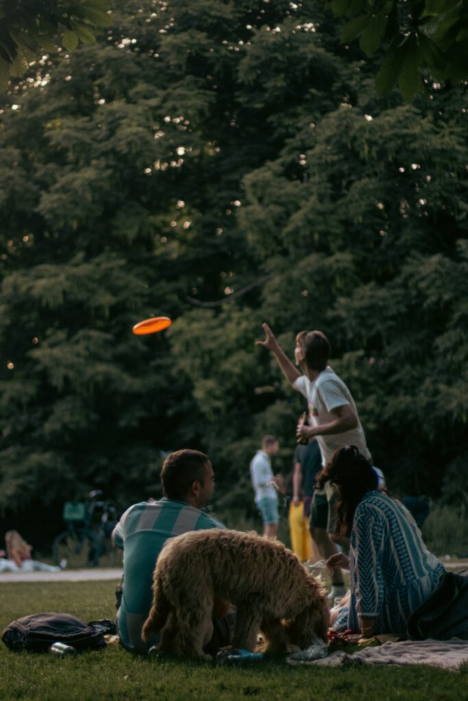 People hanging out and playing frisbee in Vondelpark Amsterdam